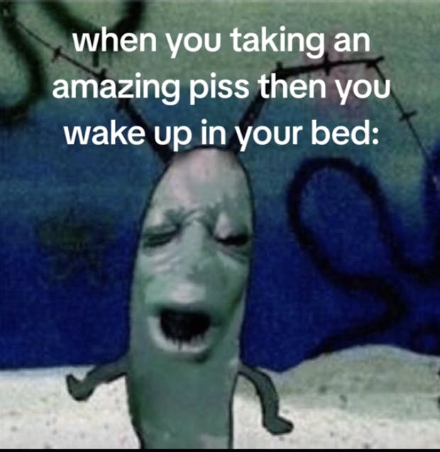 A cursed plankton/moaning plankton meme where the caption is when you taking an amazing piss then you wake up in your bed