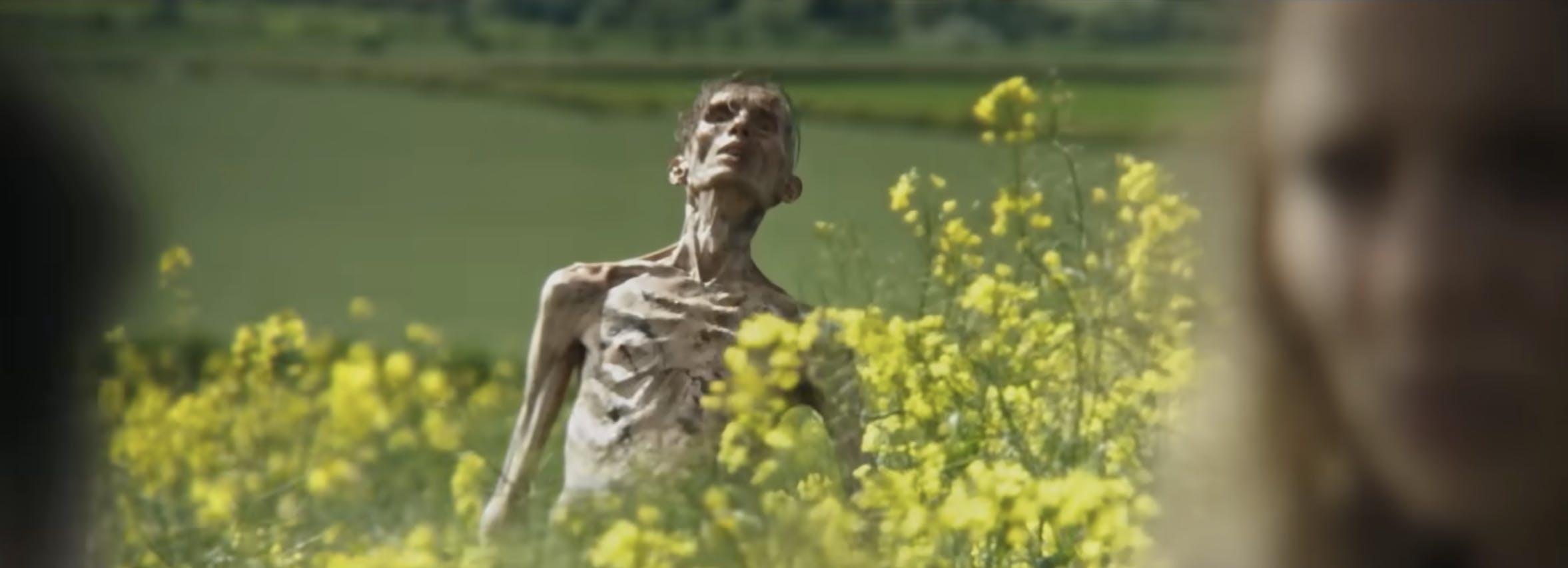 A still from Sony Entertainment's '28 Years Later' where Zombie Cillian Murphy is rising from a field