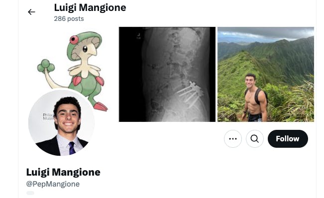 luigi mangione x header