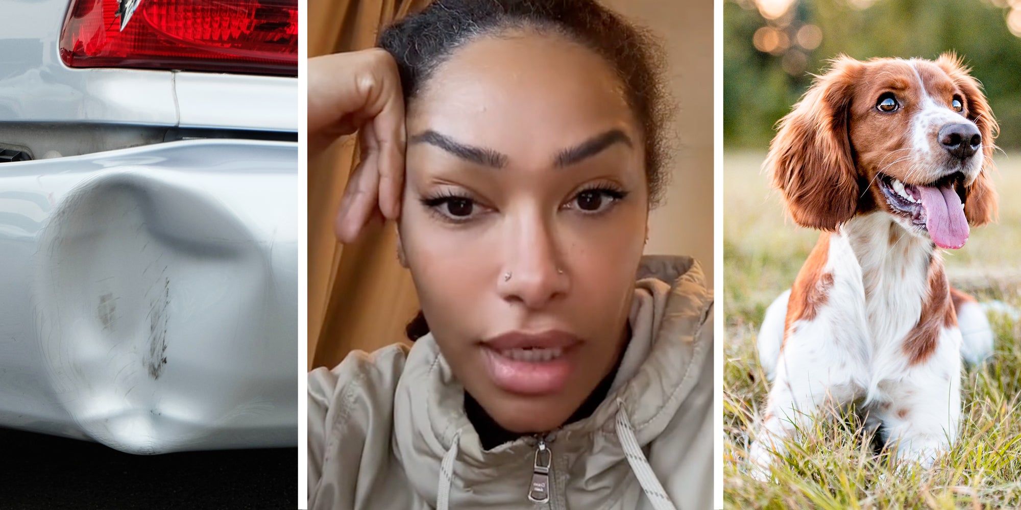 Dent in car(l), Woman talking(c), Dog in grass(r)