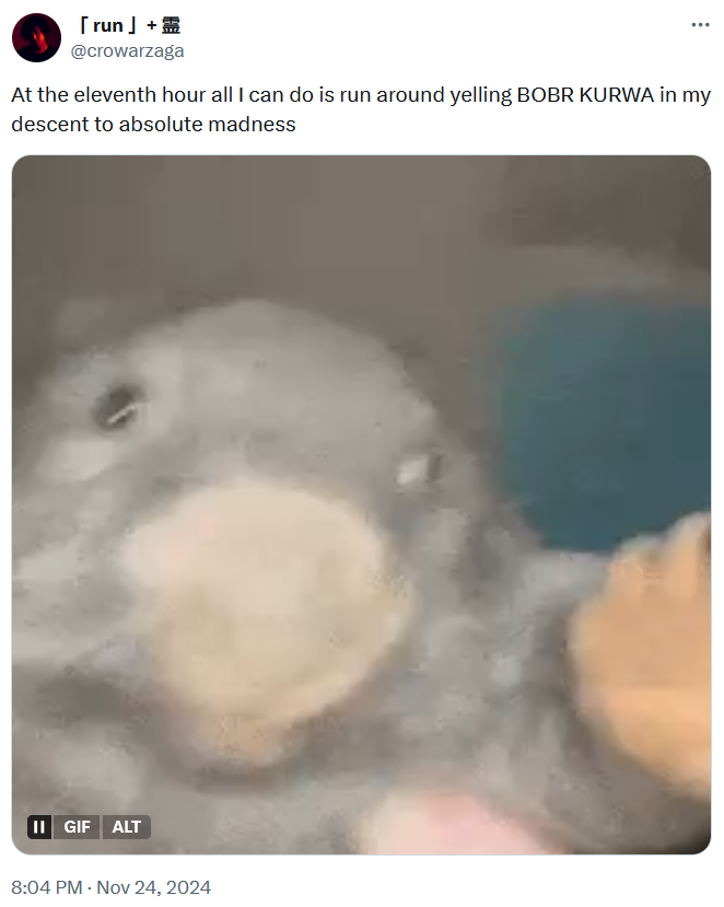 Bobr Kurwa meme with a gif of a wombat.