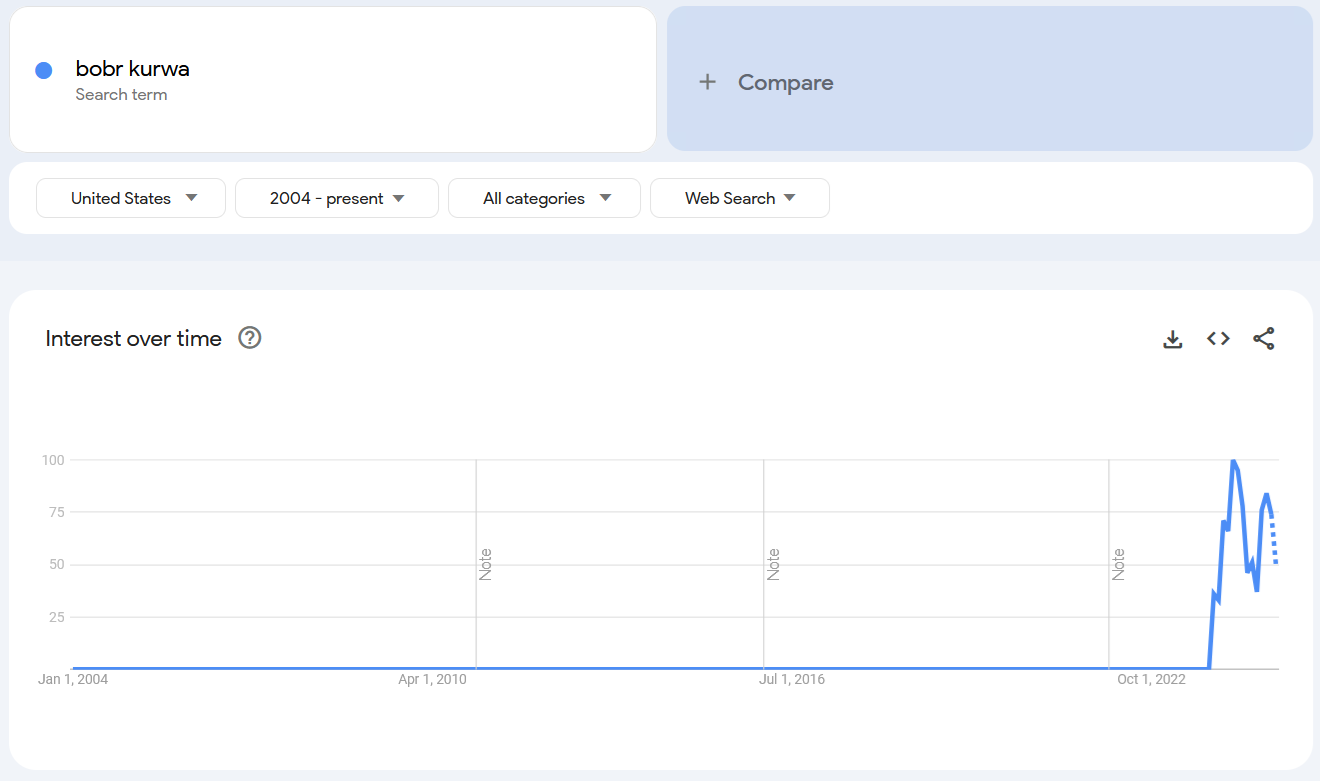 Google Trends report for the term 'Bobr Kurwa.'