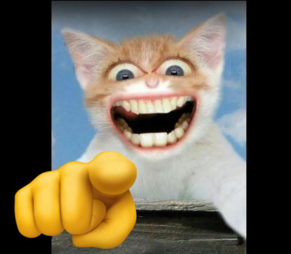 wide eyed meme cat pointing and laughing