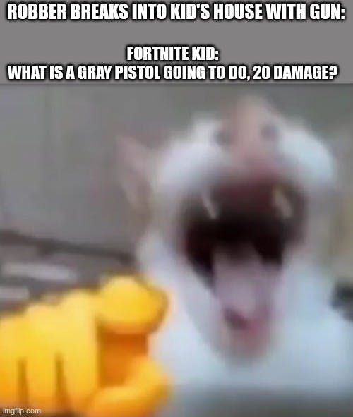 fortnite kid 20 damage laughing at home intruder