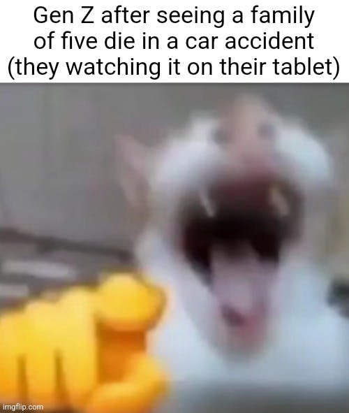 gen z laughs at car crash on tablet laughing cat meme