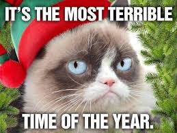 Grumpy Cat Christmas meme, text reads, 'It's the most terrible time of the year.'