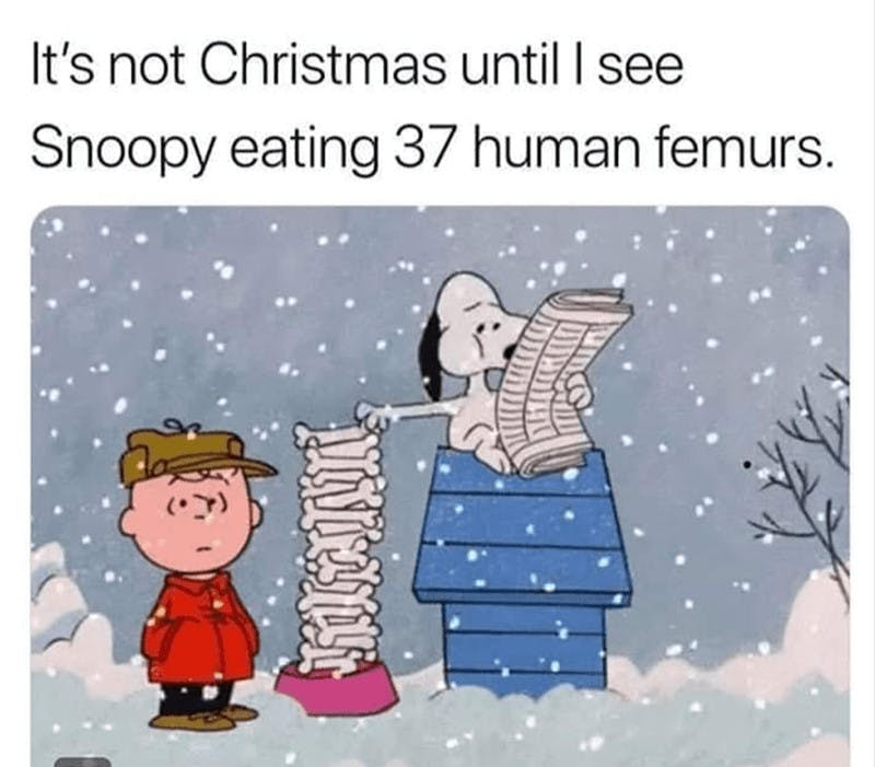 'It's not Christmas until I see Snoopy eating 37 human femurs.' with a photo of the described image.