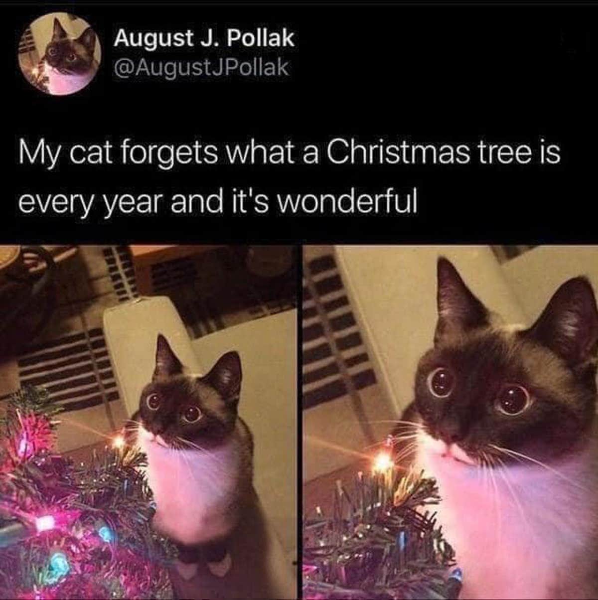 55 Of The Funniest Christmas Memes Of 2024
