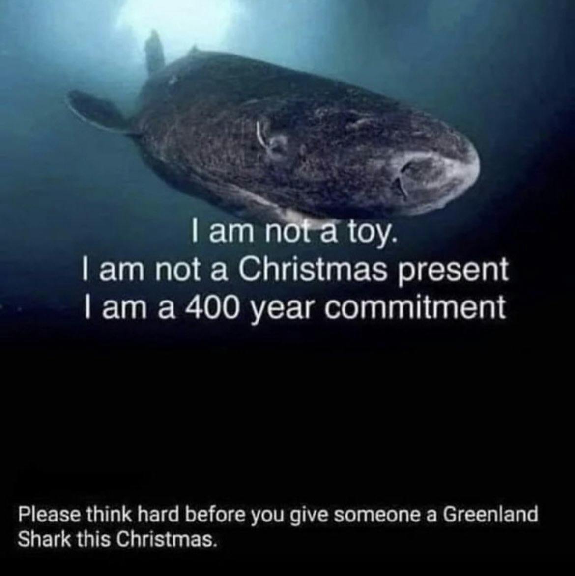 A Christmas meme spoofing off of the annual pet adoption posters that read, 'I am not a toy. I am not a Christmas present. I am a [400 year] commitment.'