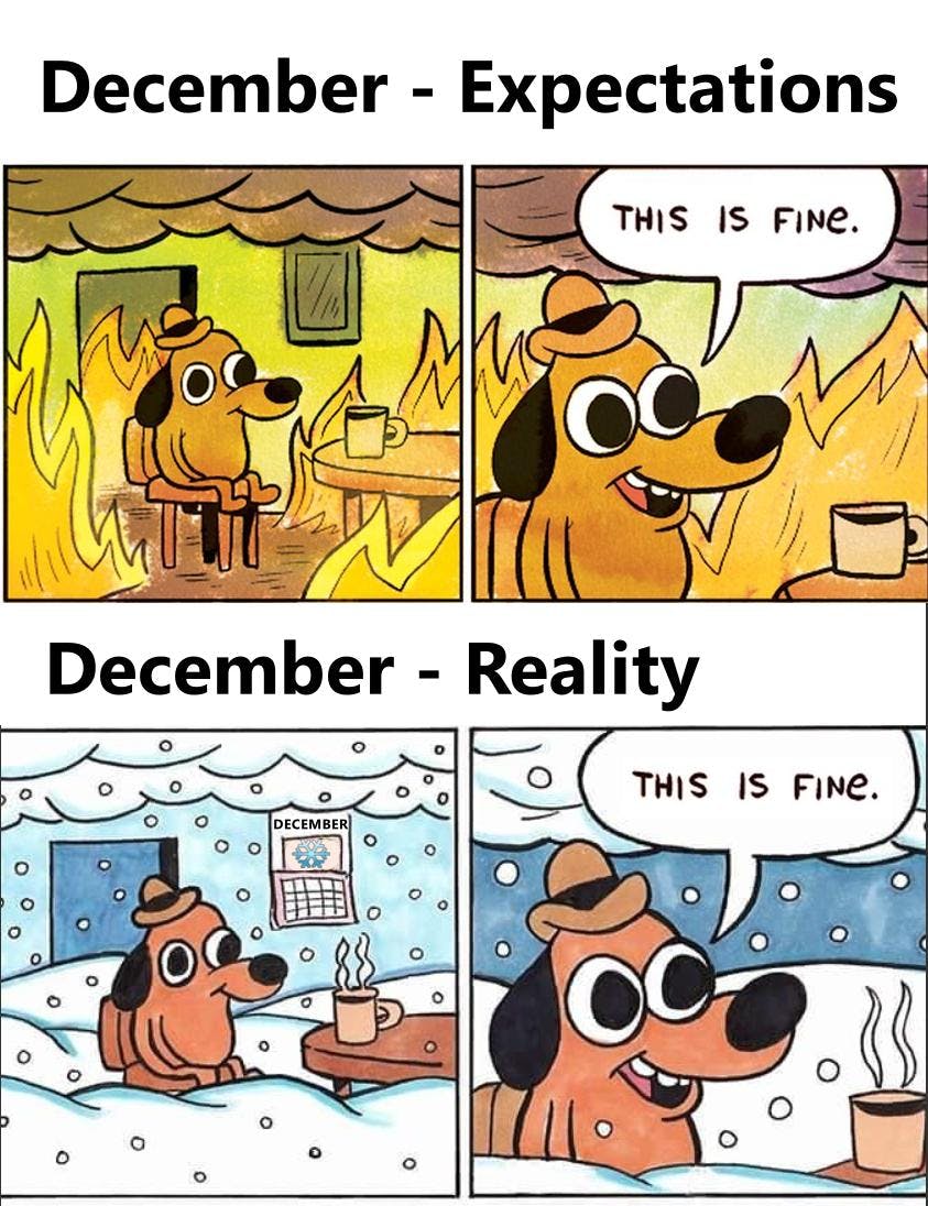 December expectations vs reality with the 'this is fine' meme.