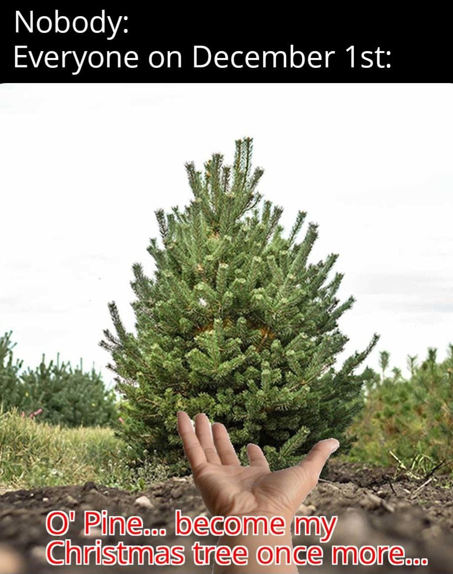 Christmas meme with a photo of a hand held out to a pine tree.