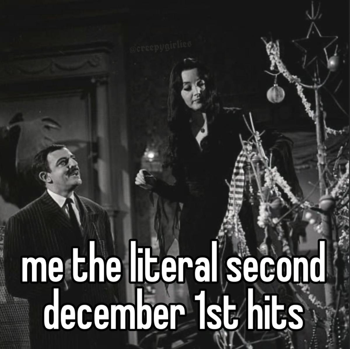 Addams Family putting up their Christmas tree. Text reads, 'me the literal second december 1st hits.'