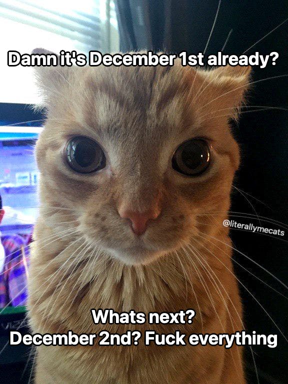 Photo of a cat. Text reads, 'D*mn it's December 1st already? What's next? December 2nd? F*ck everything.'