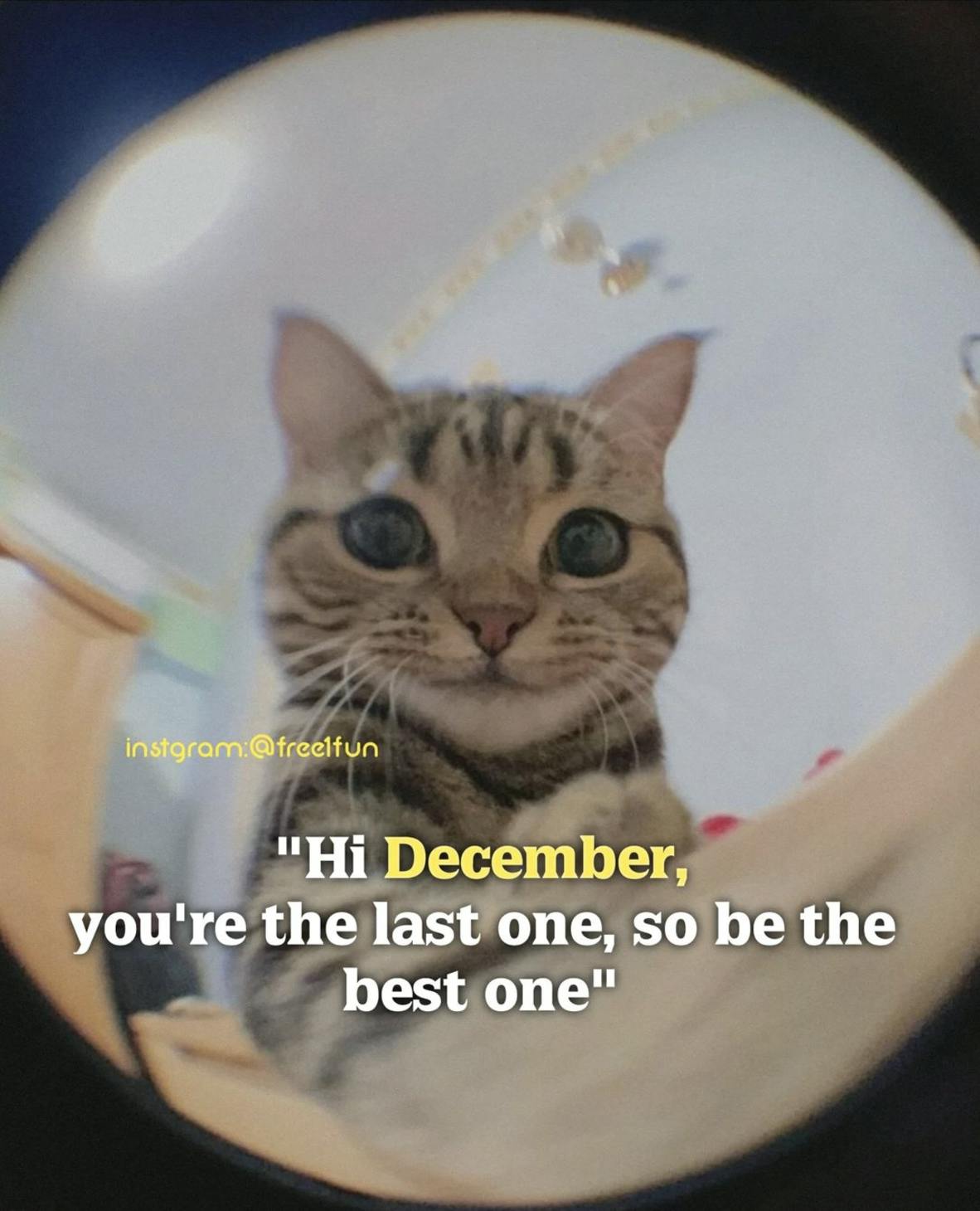 Photo through a peephole of a cat. Text reads, 'Hi December, you're the last one, so be the best one.'