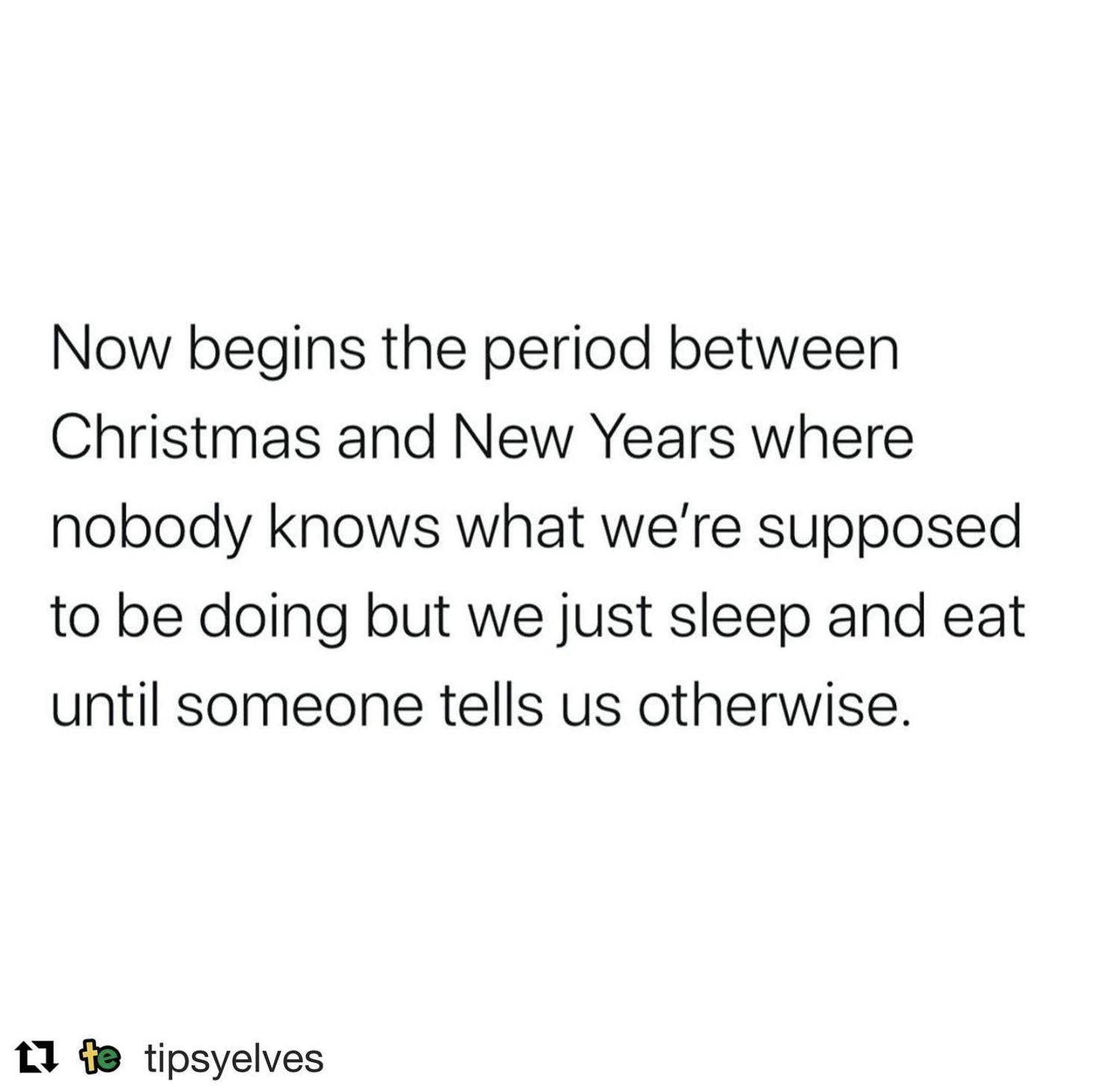 'Now begins the period between Christmas and New Years where nobody knows what we're supposed to be doing but we just sleep and eat until someone tells us otherwise.'