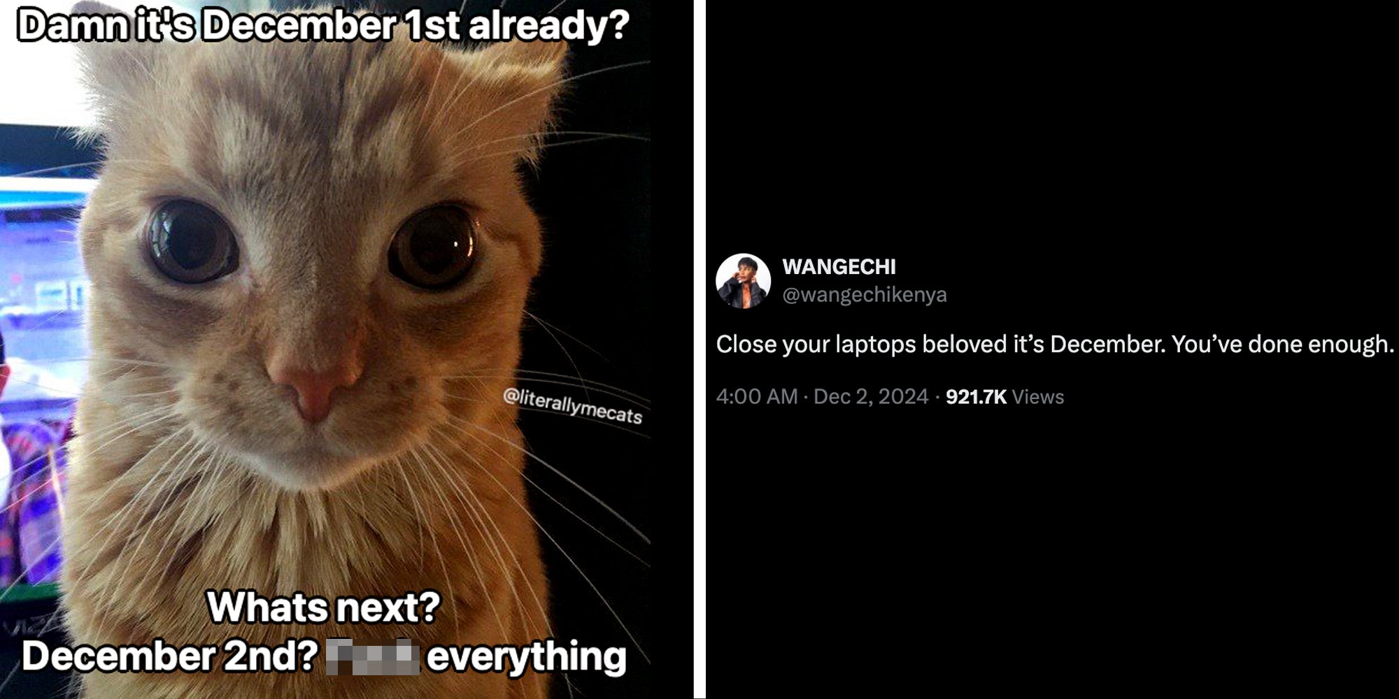 Cat with text that says 'Damn it's December 1st already? Whats next? December 2nd? **** everything'(l), Tweet that says 'close your laptops beloved it's december. you've done enough.'(r)