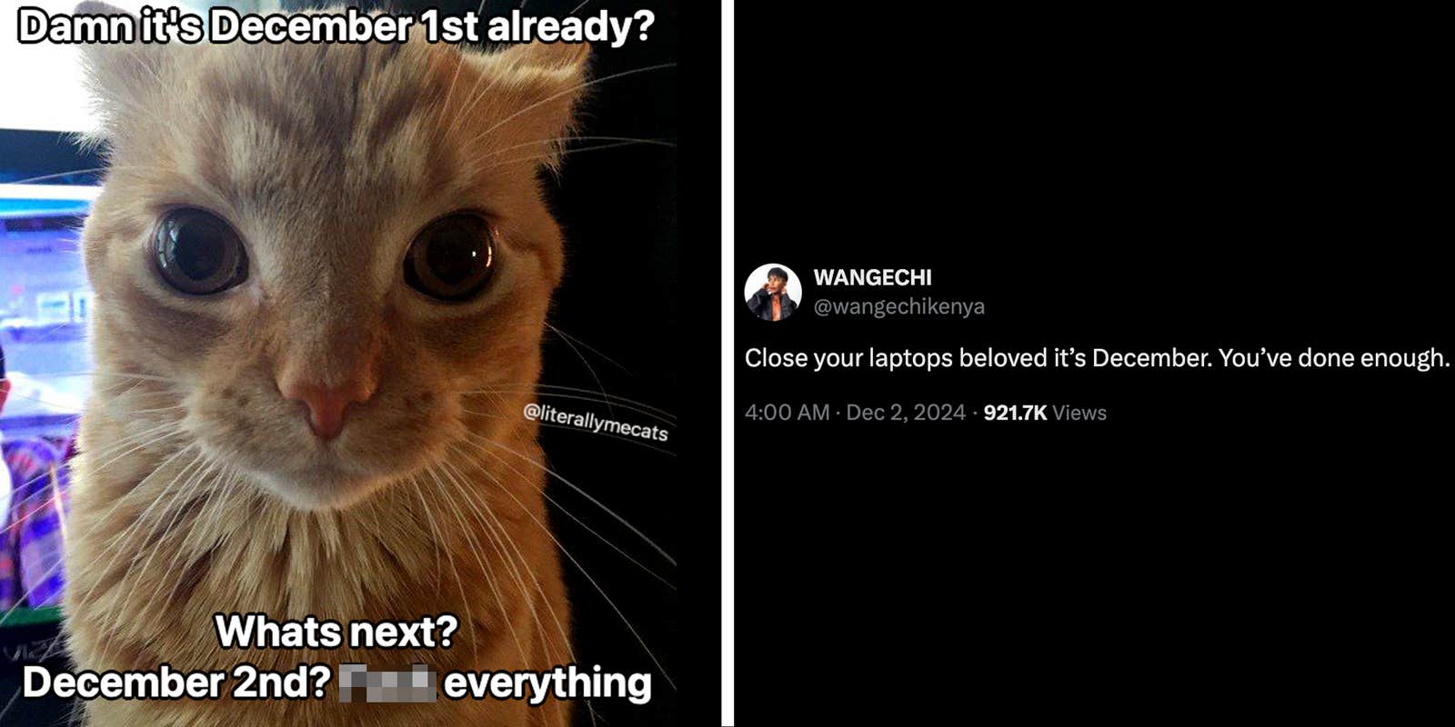 The Funniest December Memes, 2024 Edition