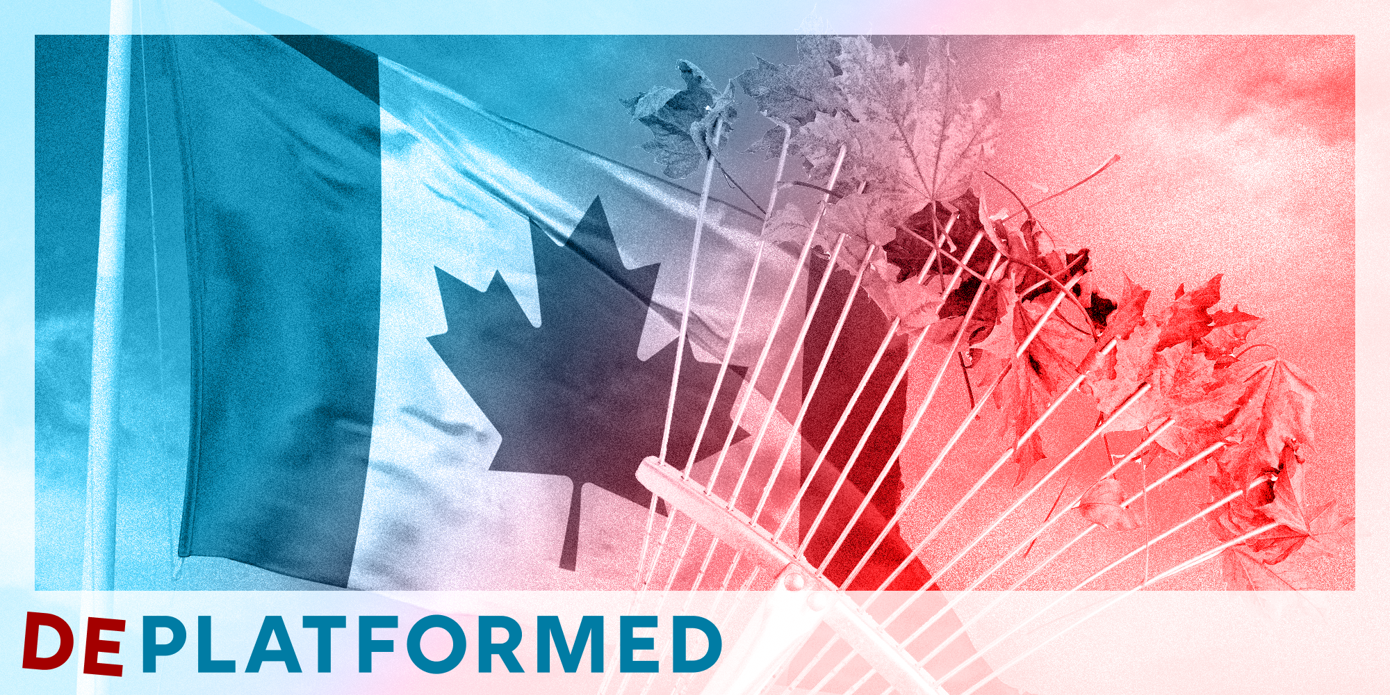 Homepage article image