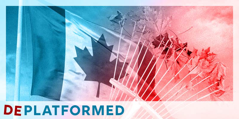 MAGA lusts over 'Day of the Rake'