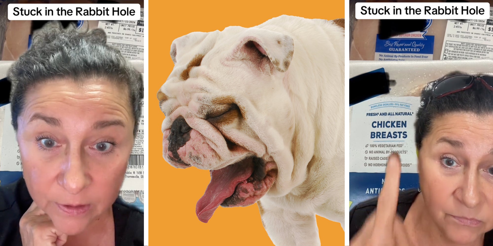 Woman talking with text 'stuck in the rabbit hole'(l), Dog dry heaving(c), Woman pointing to chicken breasts with same text(r)