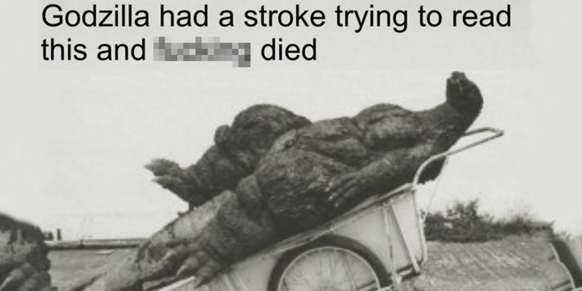 Godzilla in a bucket with text that says 'godzilla had a stroke trying to read this and ******* died'