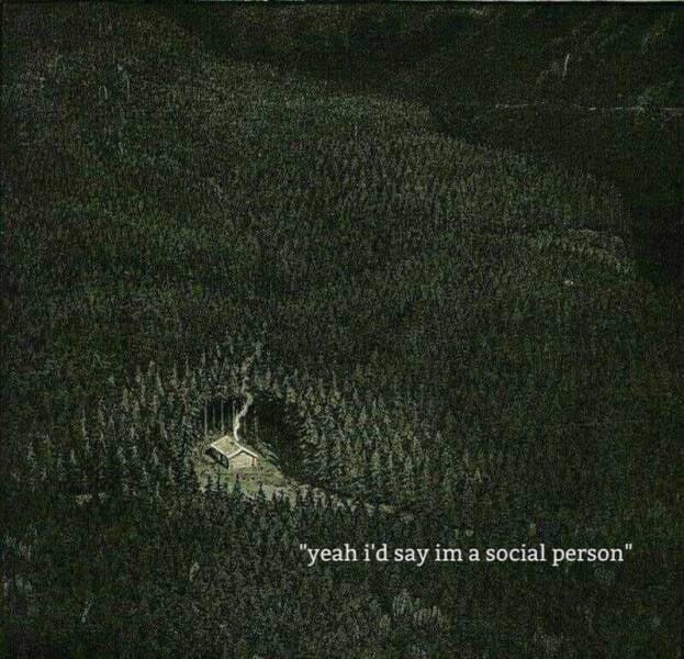 Introvert meme of a small house in the middle of a forest. Text reads, 'yeah, i'd say im a social person.'