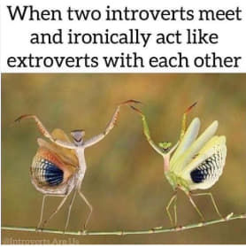 Introvert meme of two small bugs doing a dance. Text reads, 'When two introverts meet and ironically act like extroverts with each other.'