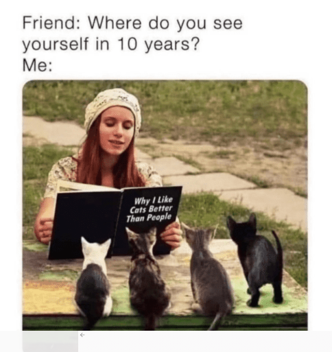 Introvert meme of a woman reading a book to cats that is titled, 'Why I like cats better than people.' Text reads, 'Friend: Where do you see yourself in 10 years? Me:'