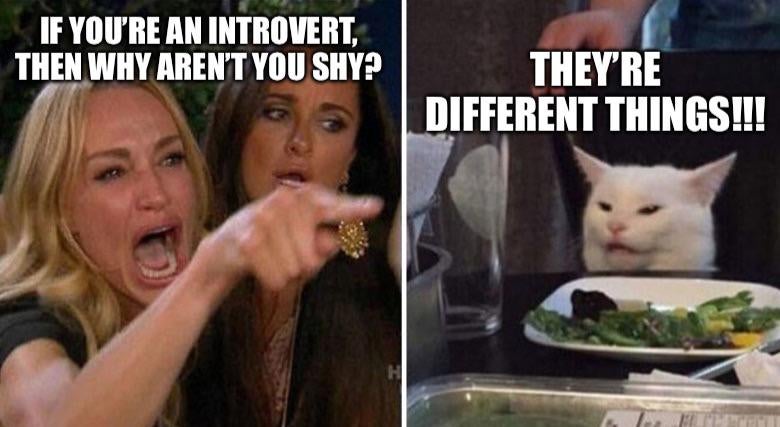 Introvert meme of the woman screaming at a white cat images. 'If you're an introvert then why aren't you shy?' over the woman, 'They're different things!!!' over the cat.