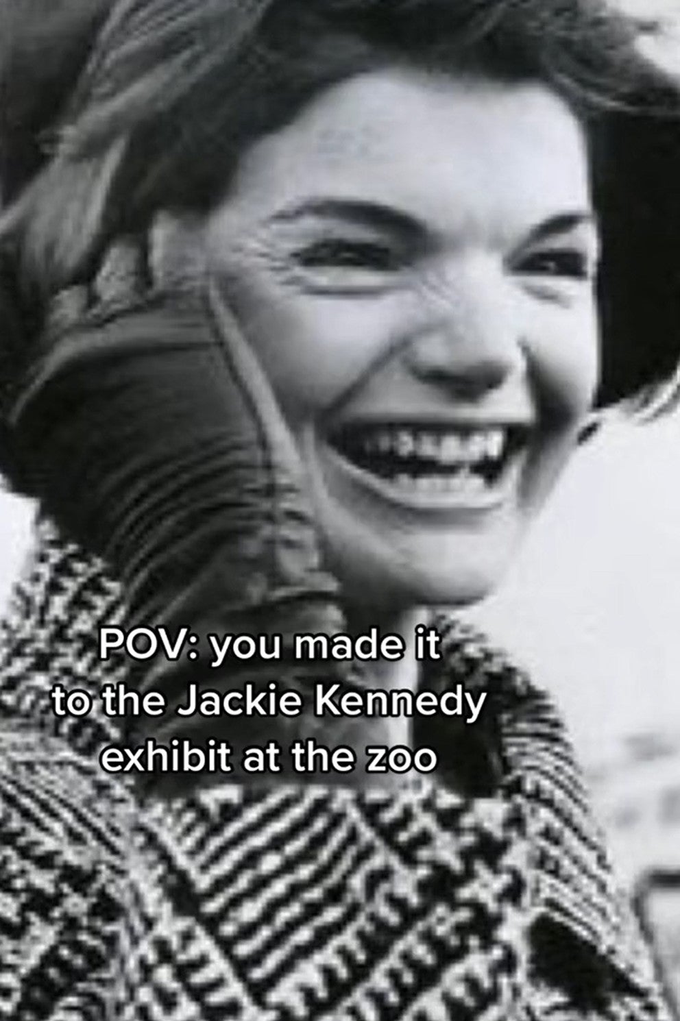 'pov: you made it to the jackie kennedy exhibit at the zoo'