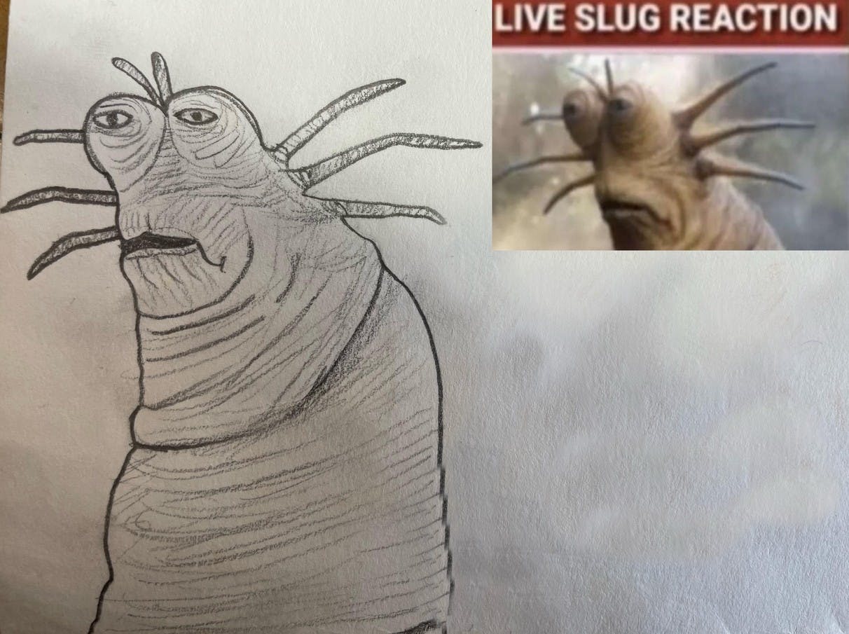 klaud drawing live slug reaction