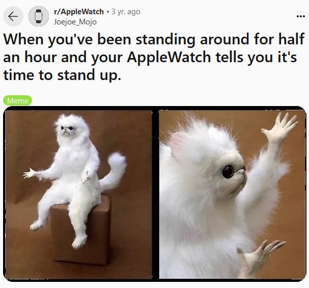 Persian cat meme about Apple Watches telling you to stand up.