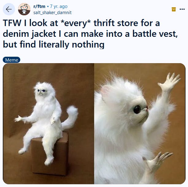 Persian cat meme about trying to find the right jacket at thrift stores.