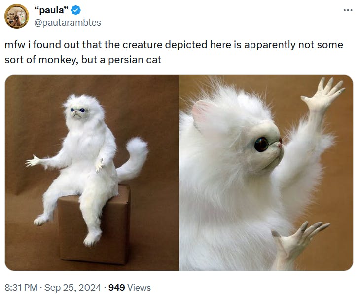 Photos of a white creature with its hands raised with a caption expressing surprise that it's not a monkey.