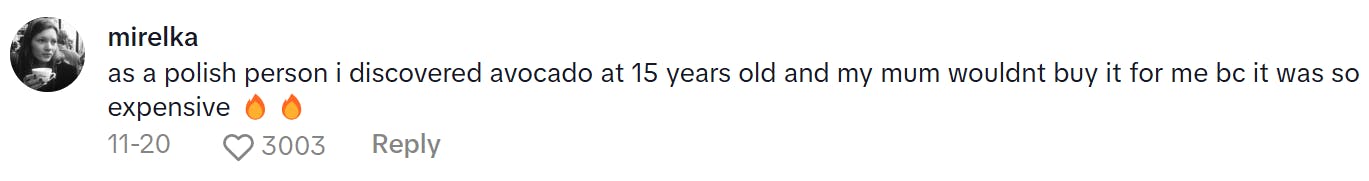 TikTok comment on a Slavic Doll Diet video. Text reads, 'as a polish person i discovered avocado at 15 years old and my mum wouldnt buy it for me bc it was so expensive (fire emojis)'