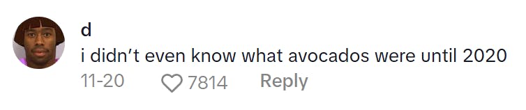 TikTok comment on a Slavic Doll Diet video. Text reads, 'i didn’t even know what avocados were until 2020'