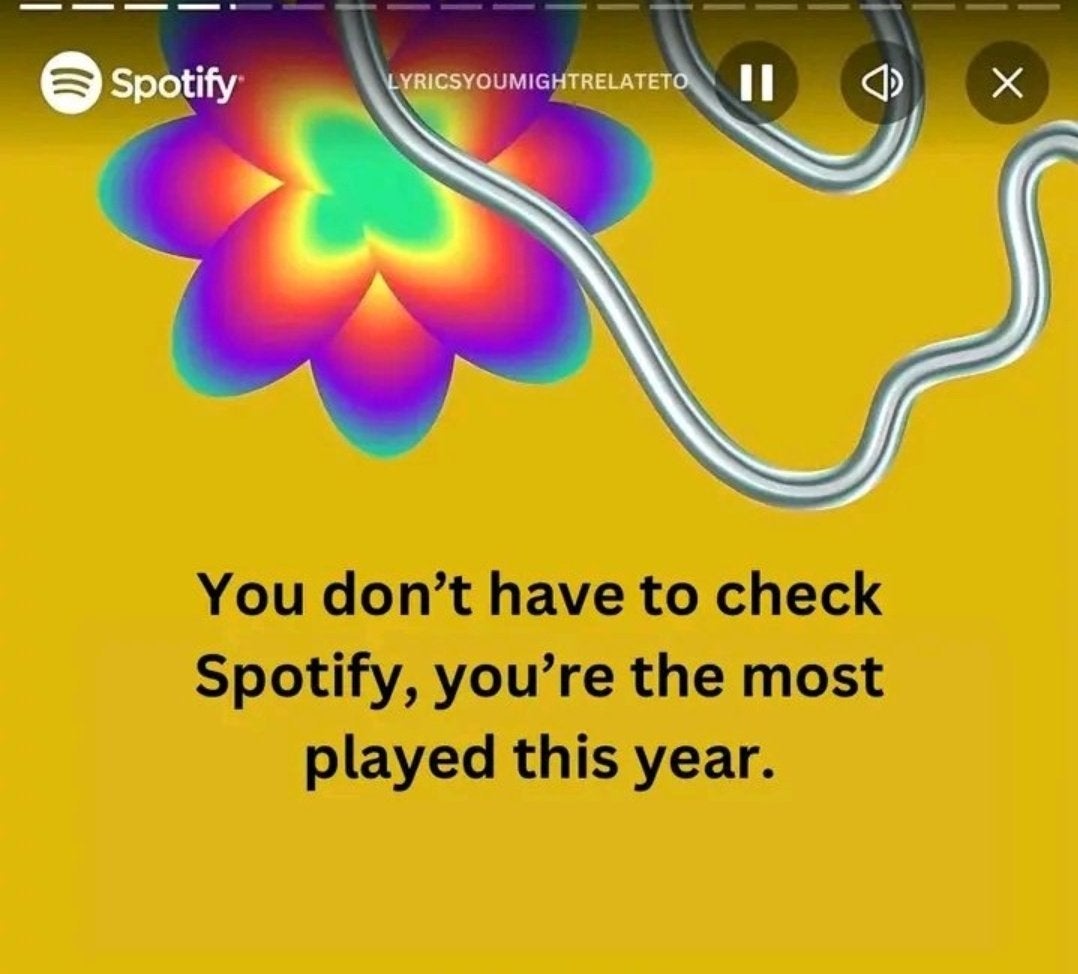 Spotify Wrapped meme that reads, 'You don't have to check Spotify, you're the most played this year.'