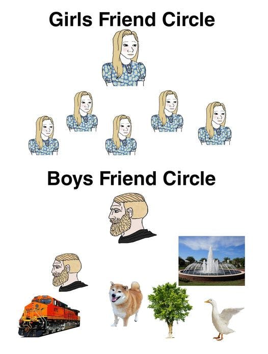 Trad Wife meme comparing girls' friend circles to boys'.