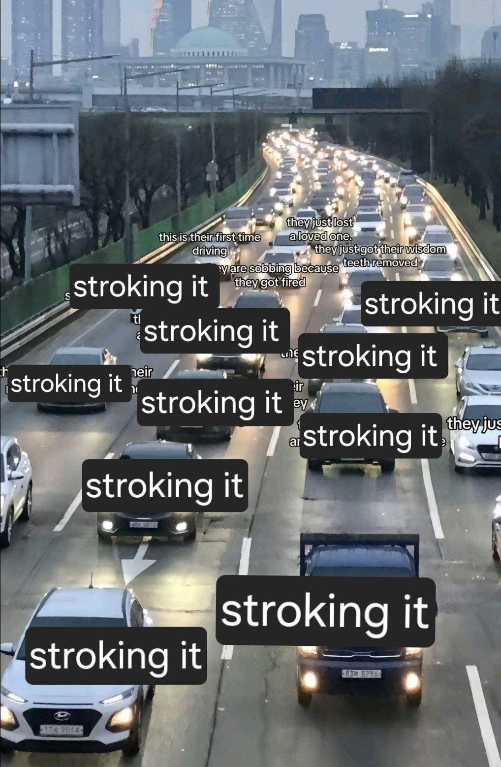 Traffic meme parody with all cars labeled 'stroking it.'