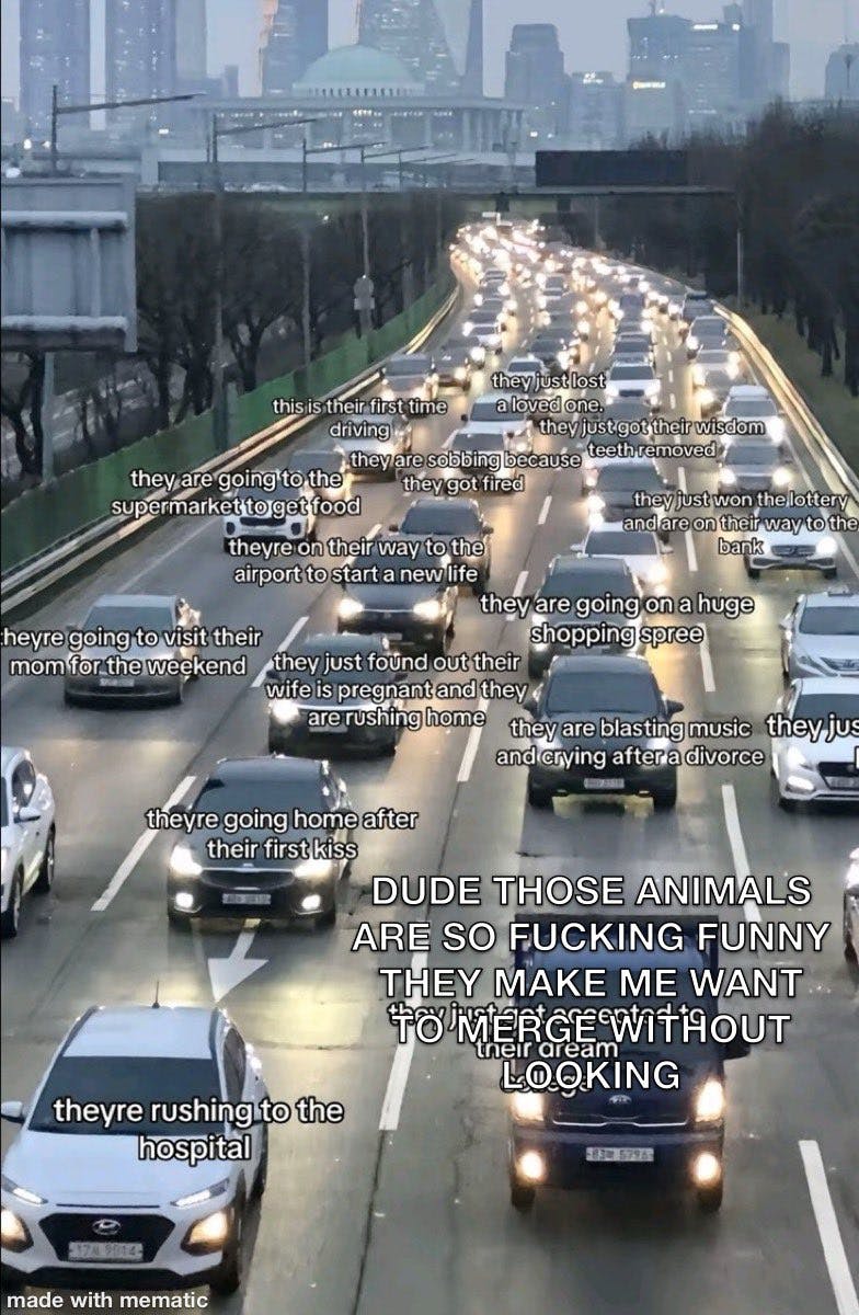 Traffic meme parody with one car labeled 'DUDE THOSE ANIMALS ARE SO FUCKING FUNNY THEY MAKE ME WANT TO MERGE WITHOUT LOOKING.'