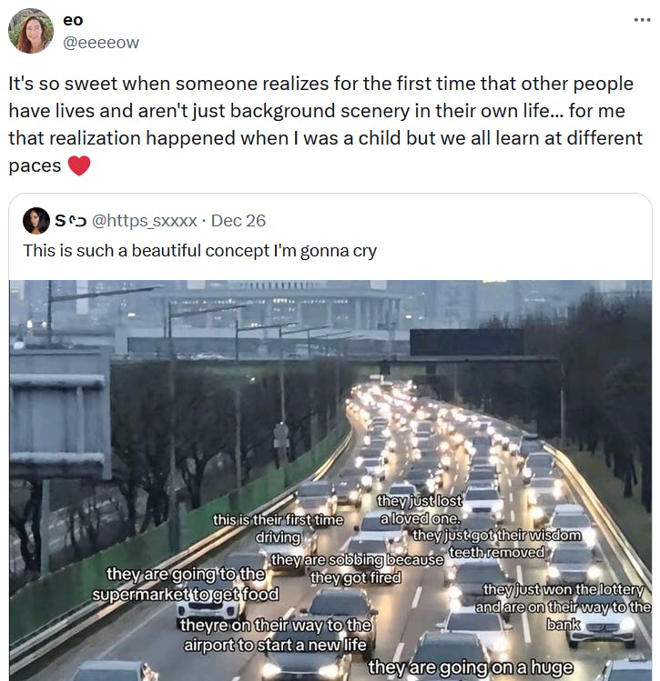 Quote tweet of the traffic meme reading 'It's so sweet when someone realizes for the first time that other people have lives and aren't just background scenery in their own life... for me that realization happened when I was a child but we all learn at different paces.'