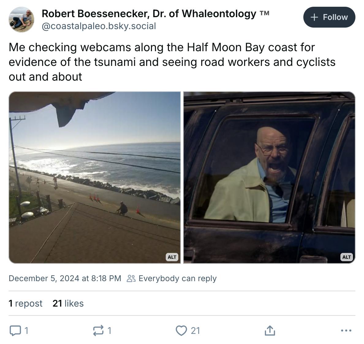 'Me checking webcams along the Half Moon Bay coast for evidence of the tsunami and seeing road workers and cyclists out and about' with a photo of people by the coast and a second photo of Walter White screaming out of a car window.