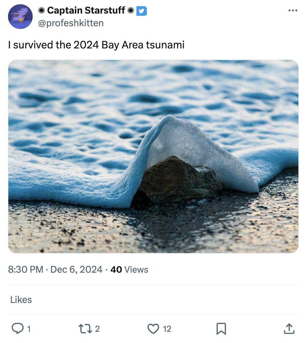 Tweet that reads, 'I survived the 2024 Bay Area tsunami' with a photo of a tiny wave crashing against an equally small rock on the beach.