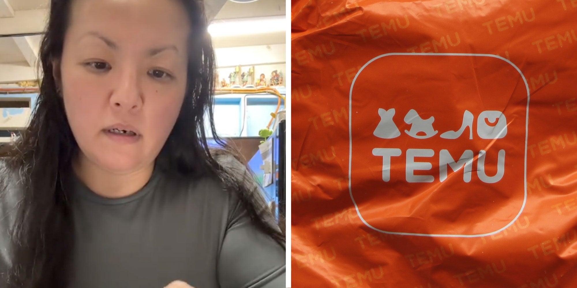 Two panel design with a woman in front of the camera, next to an image of a Temu bag