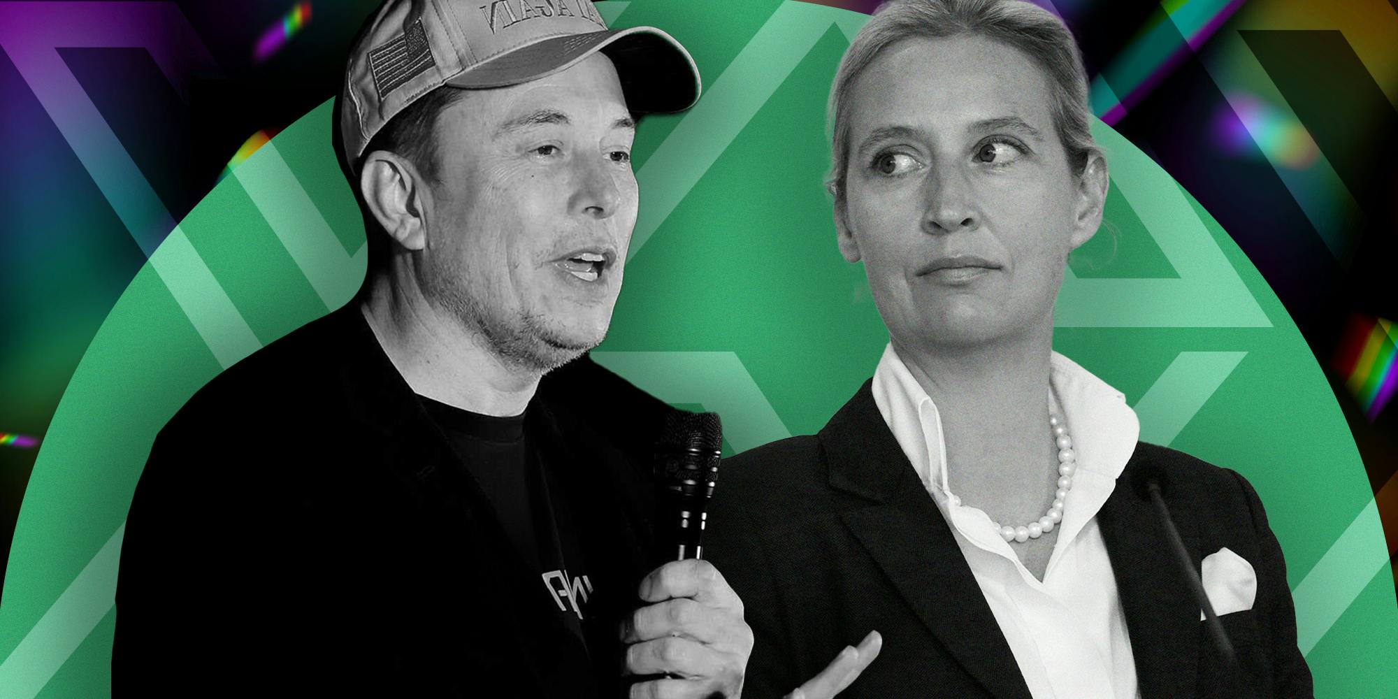 Elon Musk And Alice Weidel