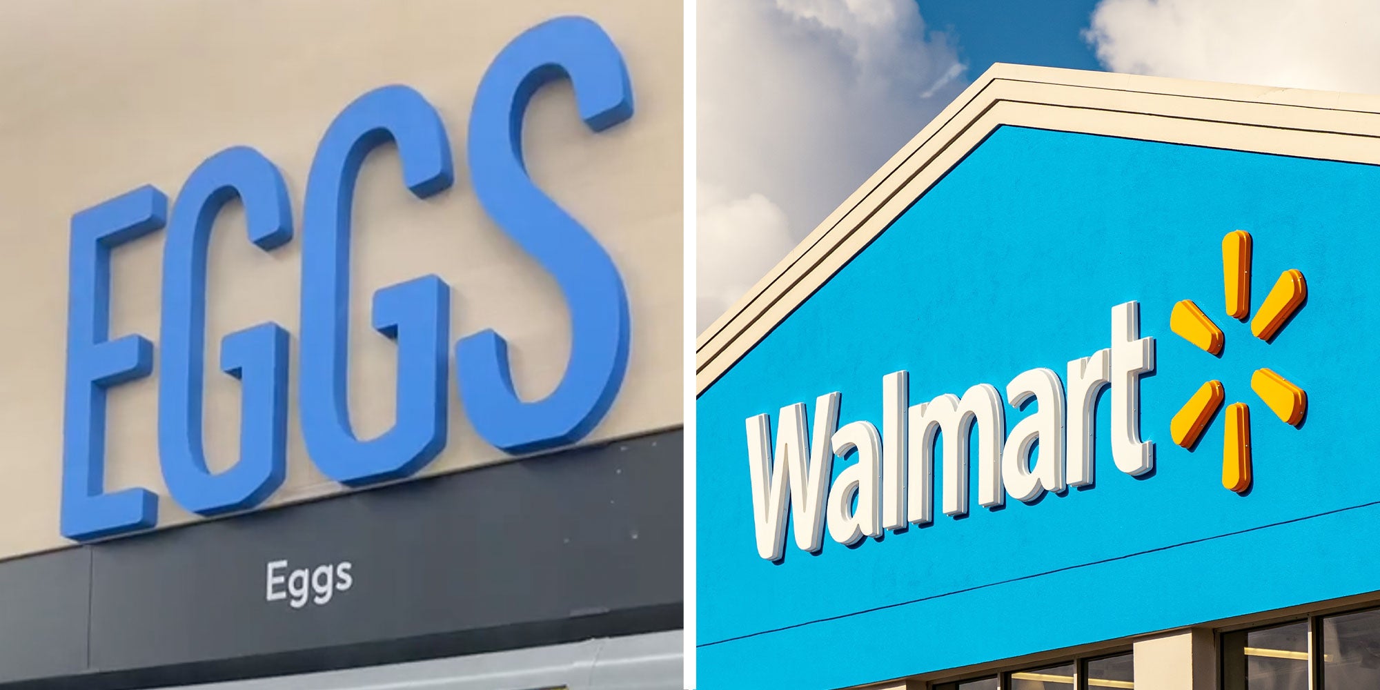 Homepage article image