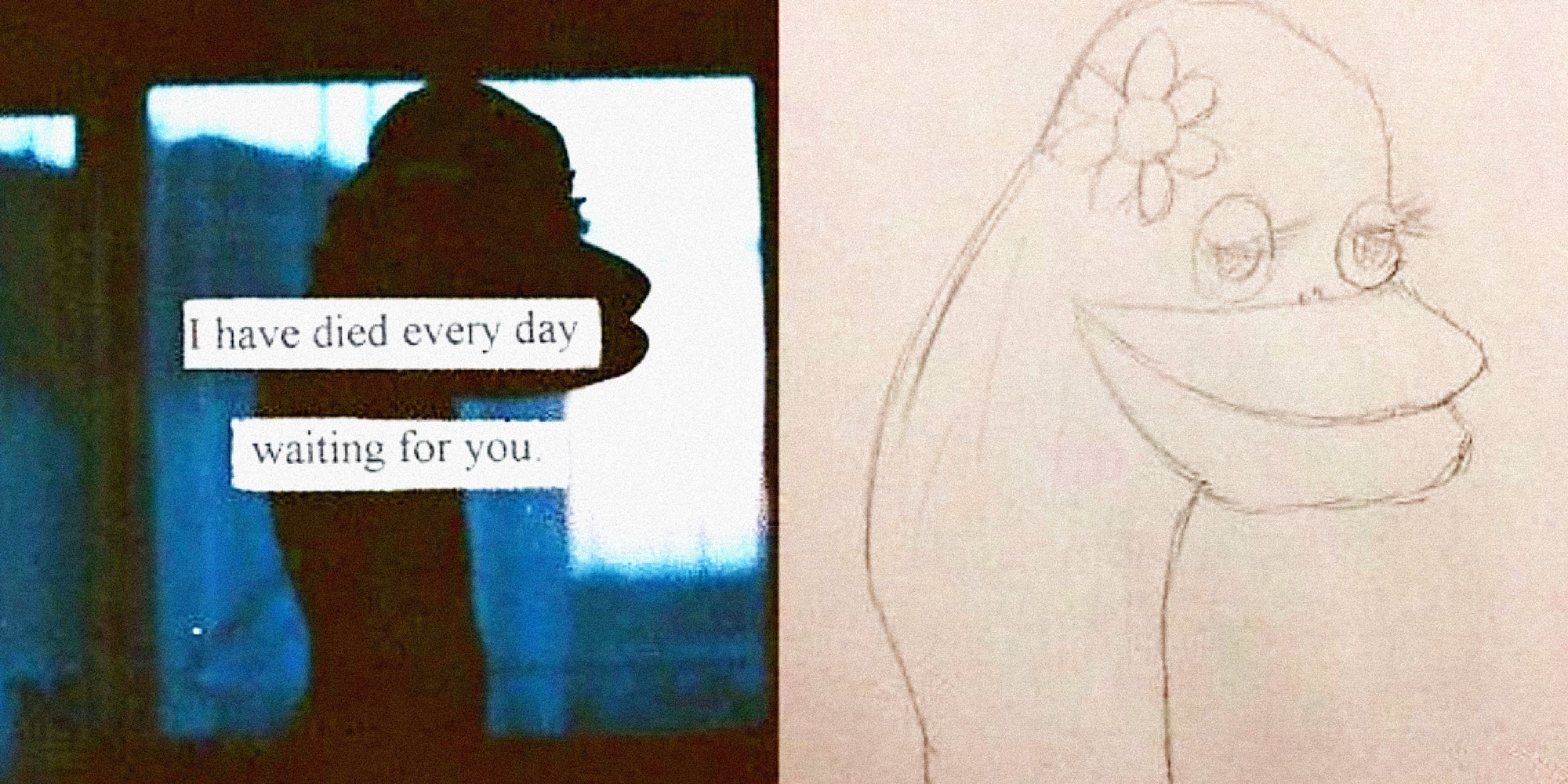 two panel image: on the left is a silhouette in a darkened room. Text over says 'I have died every day waiting for you.' On the right is a drawing from an unknown artist of an ostrich.