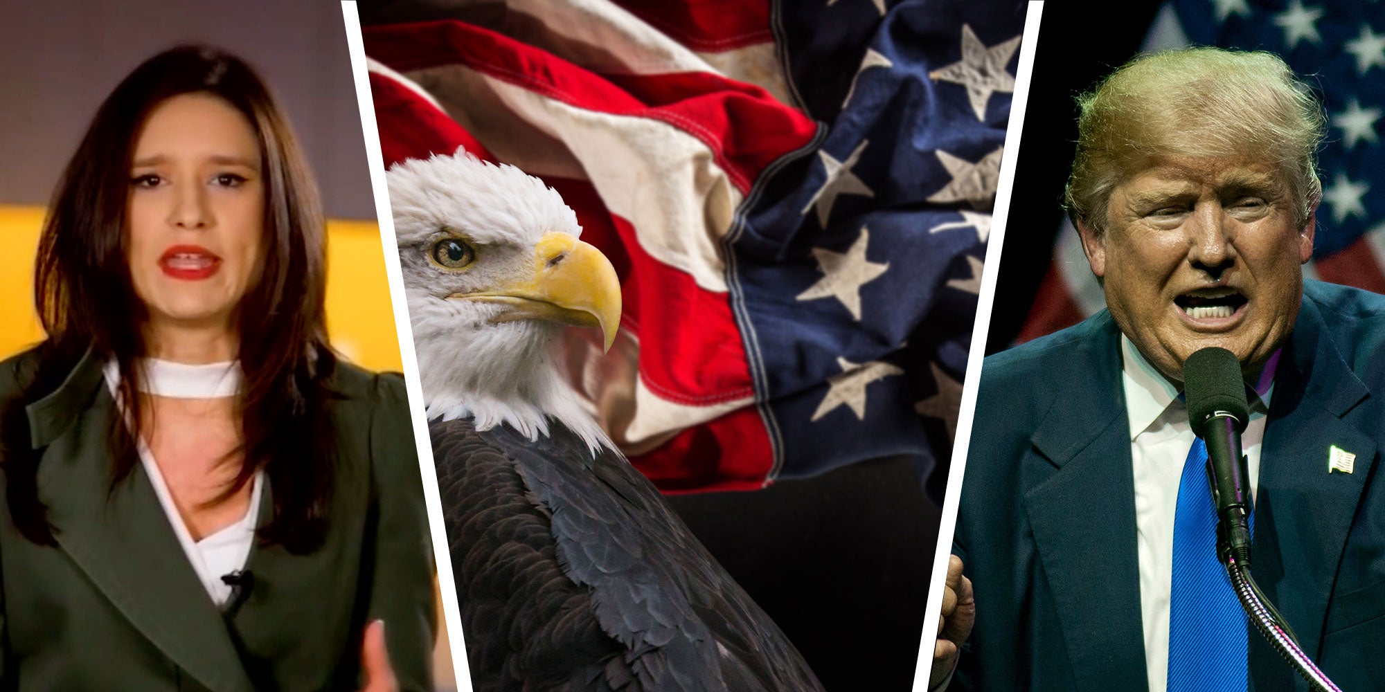 Three panel design with a woman in the first panel from a politcal commerical, next to iconic american symbols such as the bald eagle and the amrican flag, next to an image of Trump