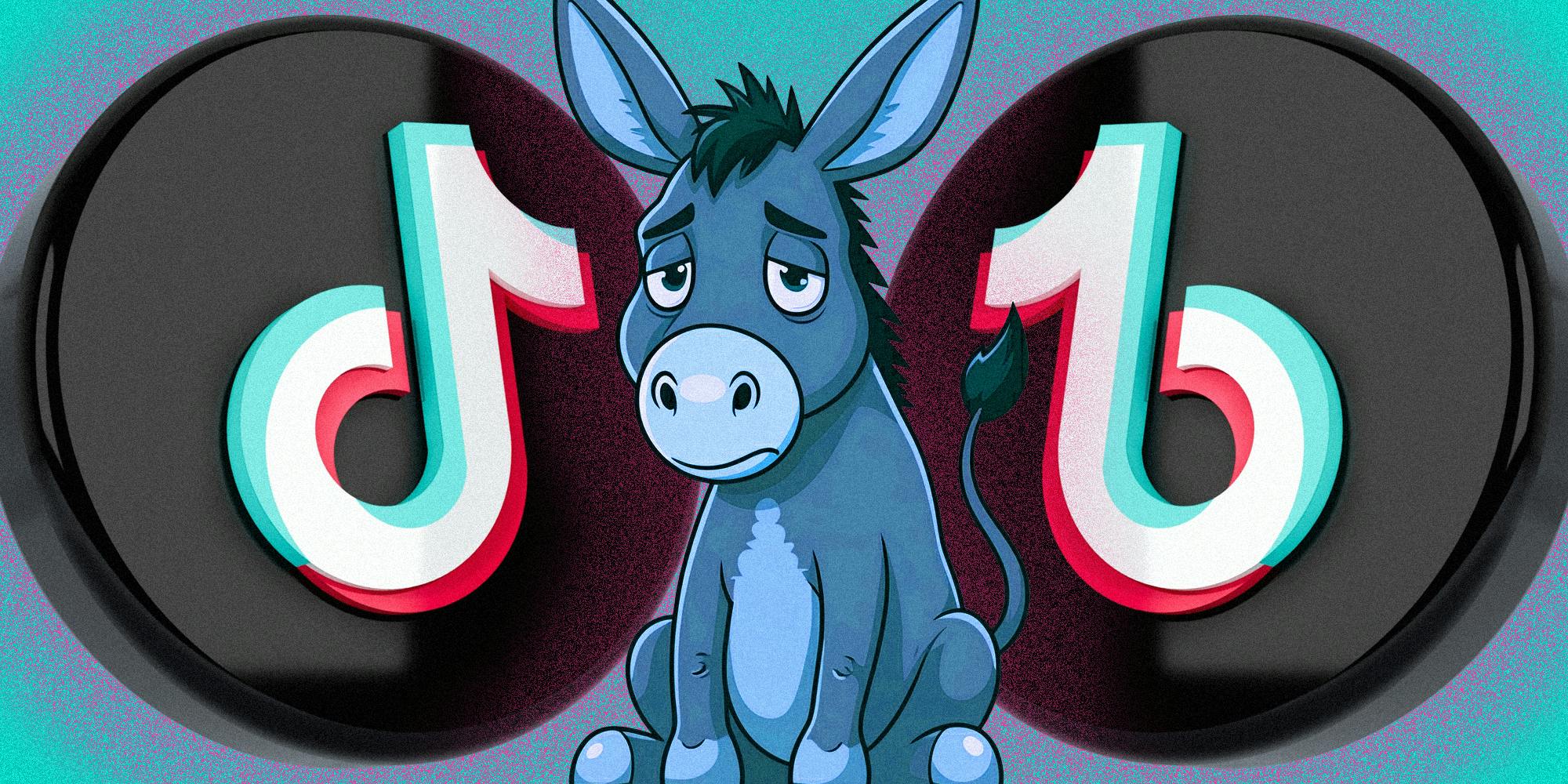 Glum Donkey over tiktok logos