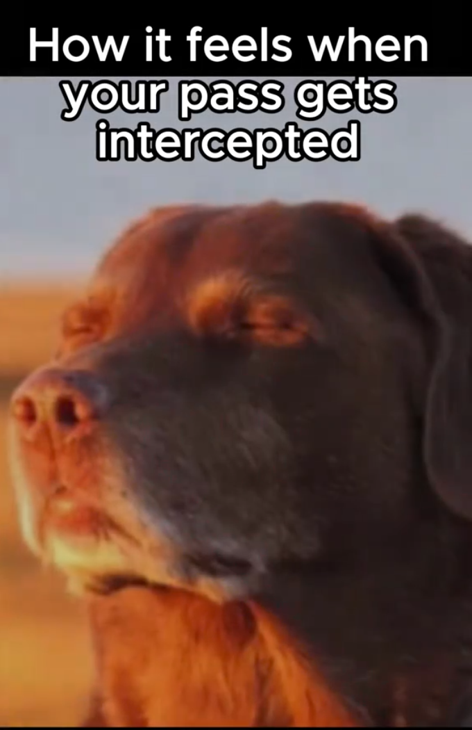 Dog closing eyes meme, text reads, 'How it feels when your pass gets intercepted.'